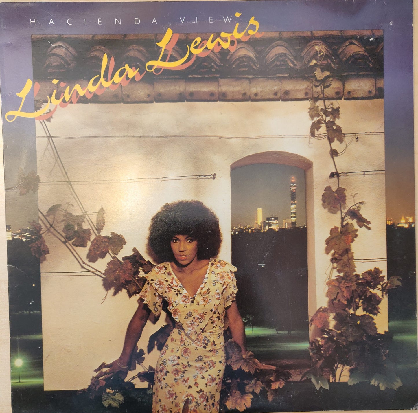Linda Lewis – Hacienda View (ARL 5033) image 0