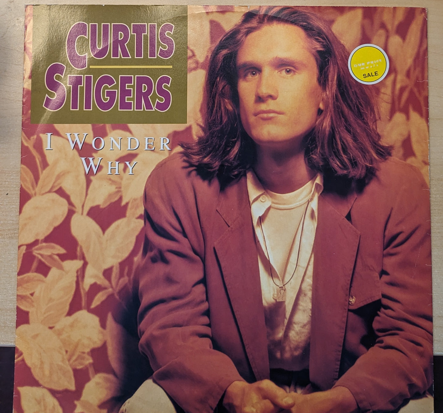 Curtis Stigers – I Wonder Why image 0