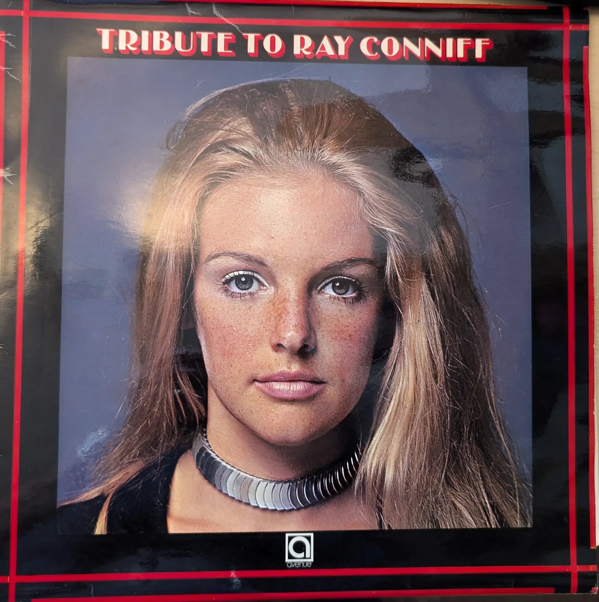 Alan Caddy Orchestra And Singers ‎– Tribute To Ray Conniff (AVE.083) image 0