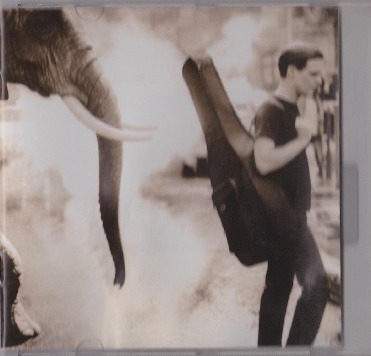 Bryan Adams - On a Day Like Today image 4