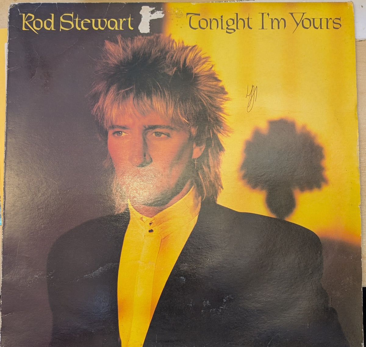 Rod Stewart - Tonight I'm Yours