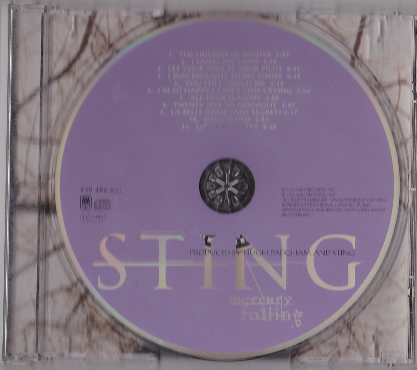 STING - mercury falling (31454 04862) image 4