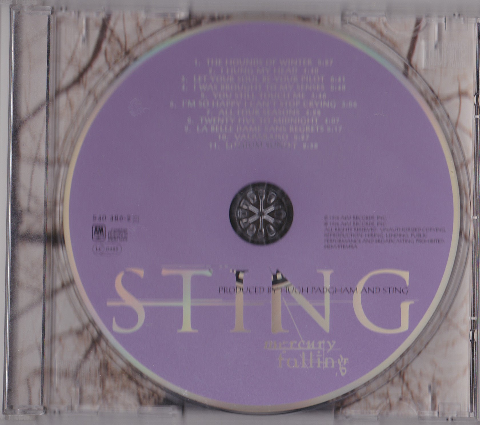STING - mercury falling (31454 04862) image 4