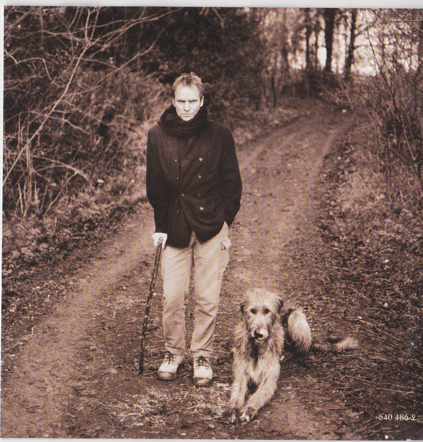 STING - mercury falling (31454 04862) image 5