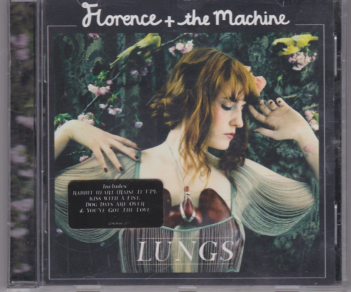 Florence + The Machine ‎– Lungs (1797940) image 1