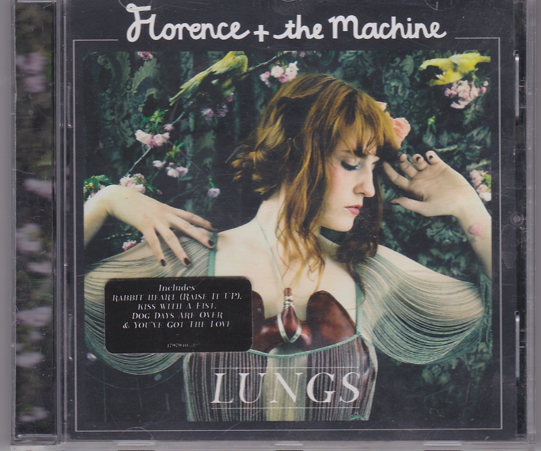 Florence + The Machine ‎– Lungs (1797940) image 1